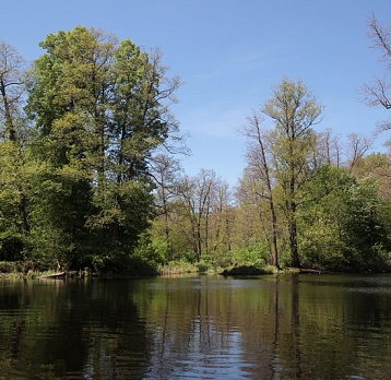 На службе у природы